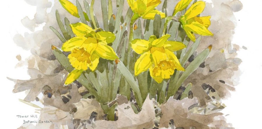 Barry Van Dusen Exhibition at Tower Hill