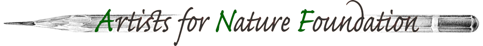 Artists for Nature Foundation