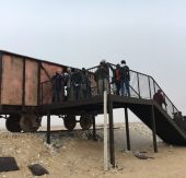 MacQueen’s Bustard and Sandgrouse