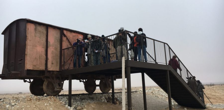 MacQueen’s Bustard and Sandgrouse