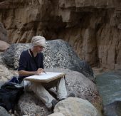 Artist for Nature Dead Sea Project Hashtag #afndsp