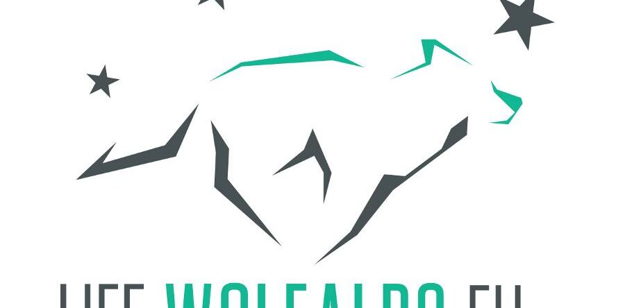 ANF / EU project together with the university of Ljubljana