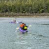 ANF in Alaska: may 7