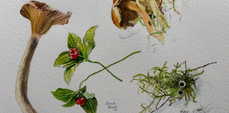 ANF in Alaska 2: Day 6,7,8 August 26-28