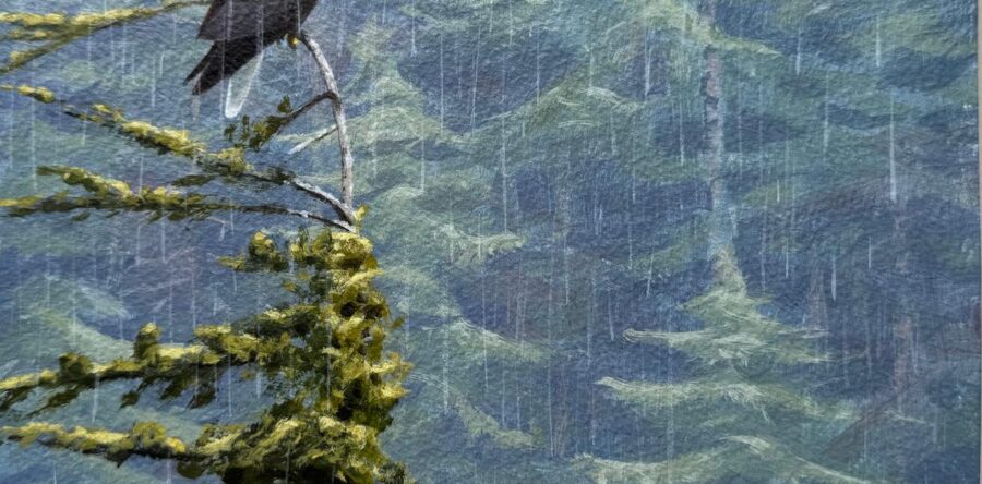 ANF’s Artists visit Alaska again, update